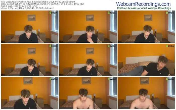 2025/06/02/chaturbate-lukedesirable-16-30-56