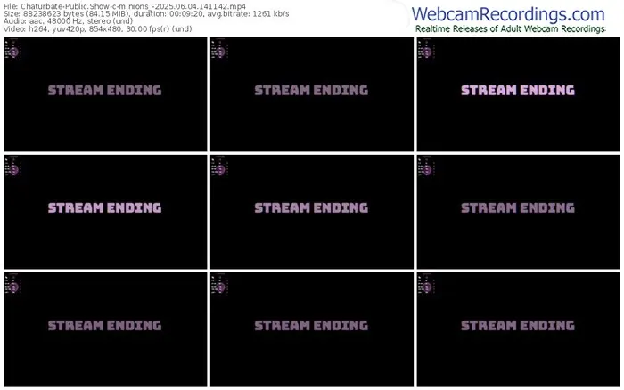 2025/06/04/chaturbate-minions_-14-11-42