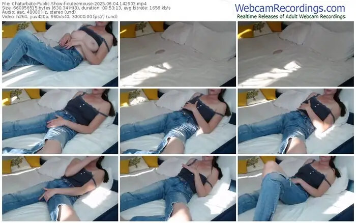2025/06/04/chaturbate-cuteemouse-14-29-03