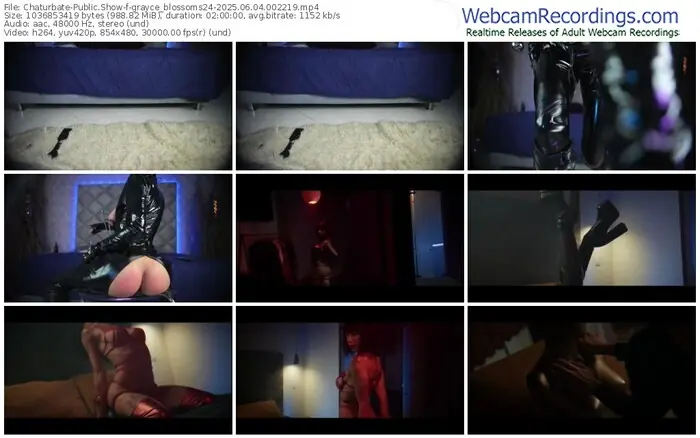 2025/06/04/chaturbate-grayce_blossoms24-00-22-19