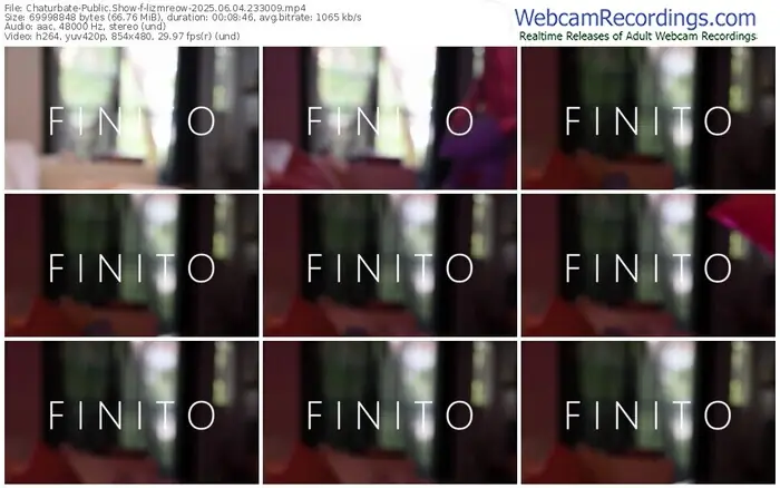 2025/06/04/chaturbate-lizmreow-23-30-09