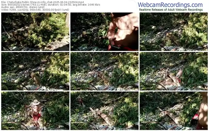 2025/06/04/chaturbate-info_chat-23-25-04