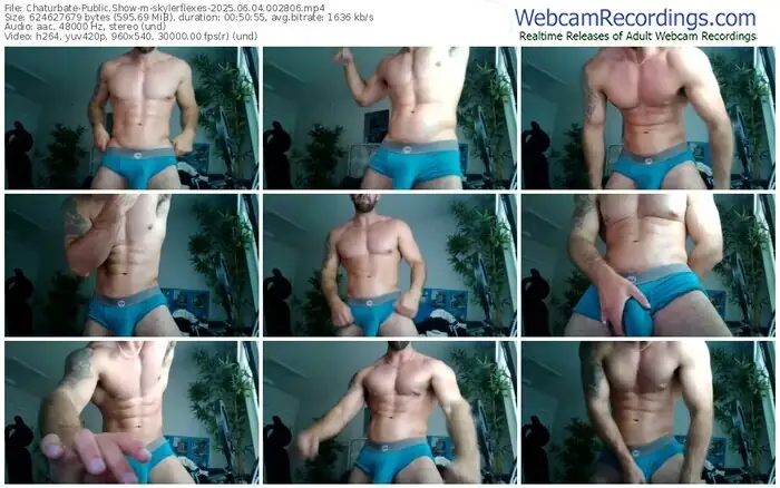2025/06/04/chaturbate-skylerflexes-00-28-06