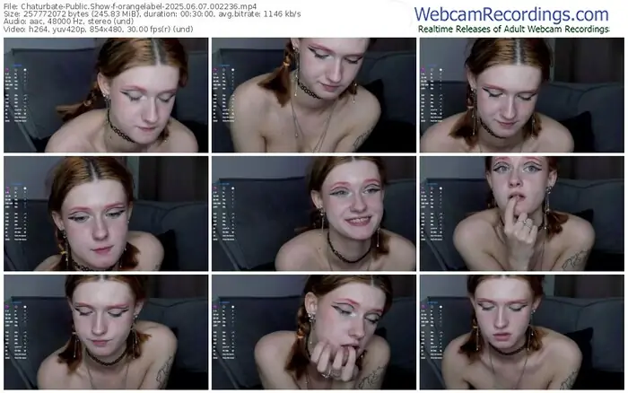 2025/06/07/chaturbate-orangelabel-00-22-36