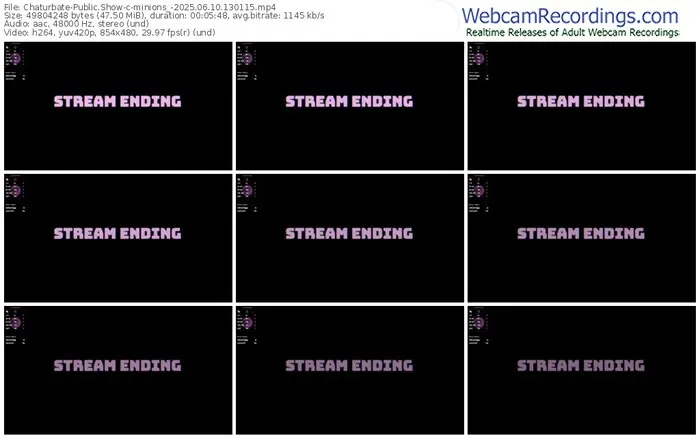 2025/06/10/chaturbate-minions_-13-01-15
