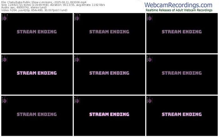 2025/06/11/chaturbate-minions_-09-30-06