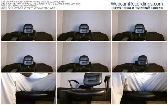 2025/06/12/chaturbate-nitsoye-20-08-26