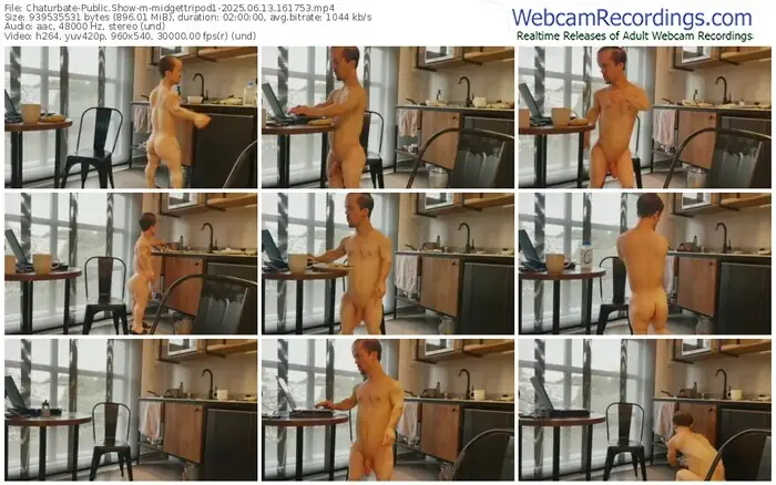 2025/06/13/chaturbate-midgettripod1-16-17-53