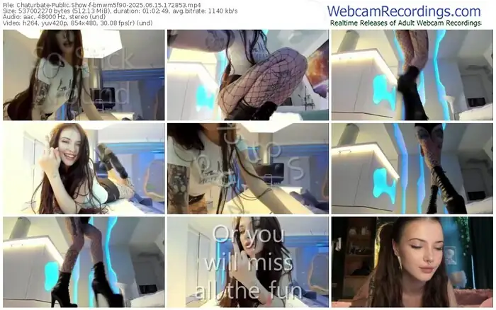 2025/06/15/chaturbate-bmwm5f90-17-28-53