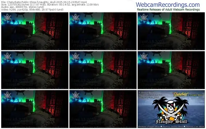 2025/06/15/chaturbate-naughty_skull-23-35-47