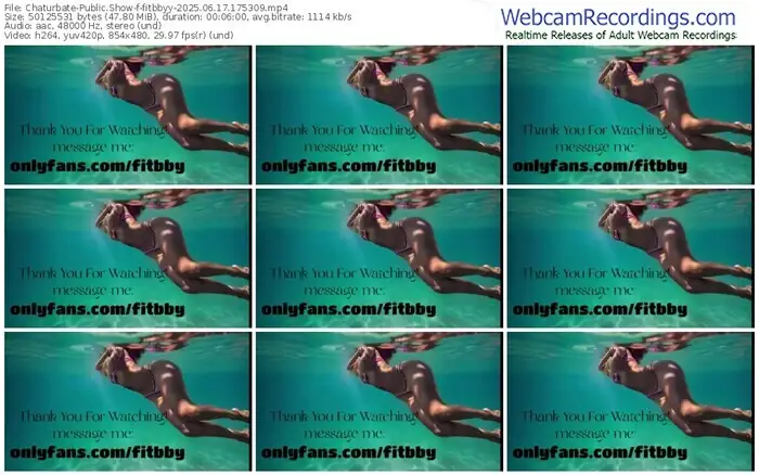 2025/06/17/chaturbate-fitbbyy-17-53-09