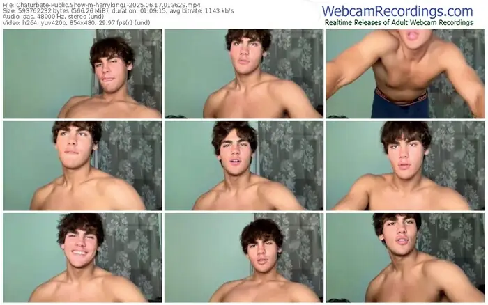 2025/06/17/chaturbate-harryking1-01-36-29