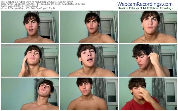 2025/06/17/chaturbate-harryking1-20-30-44