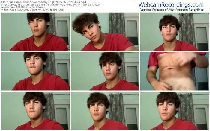 2025/06/17/chaturbate-harryking1-22-28-24