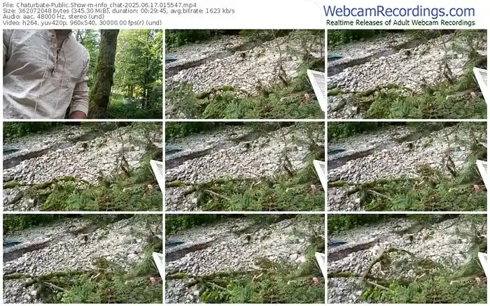 2025/06/17/chaturbate-info_chat-01-55-47
