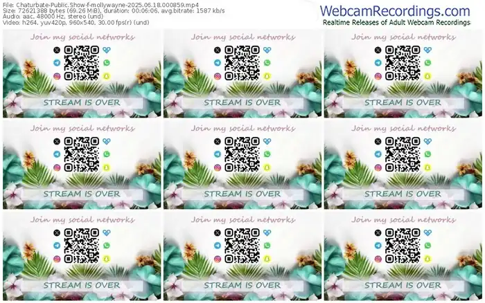 2025/06/18/chaturbate-mollywayne-00-08-59