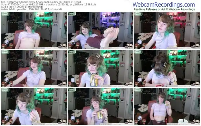 2025/06/18/chaturbate-nami3neko-00-12-13