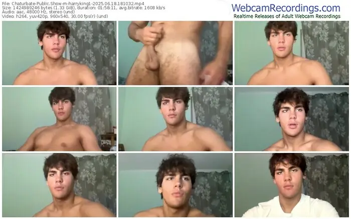 2025/06/18/chaturbate-harryking1-18-10-32