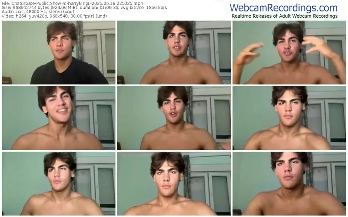 2025/06/18/chaturbate-harryking1-22-50-25