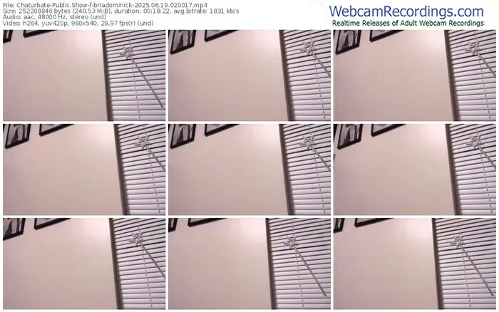 2025/06/19/chaturbate-briadominick-02-00-17