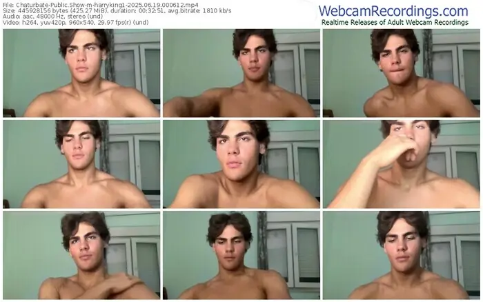 2025/06/19/chaturbate-harryking1-00-06-12