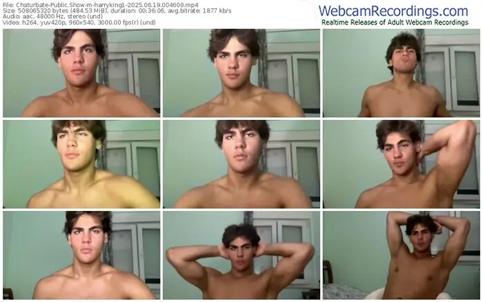 2025/06/19/chaturbate-harryking1-00-46-09