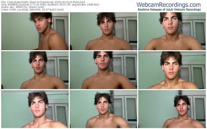 2025/06/19/chaturbate-harryking1-01-45-26