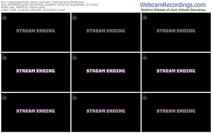 2025/06/20/chaturbate-minions_-12-46-59