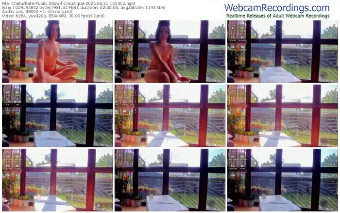 2025/06/21/chaturbate-1munique-12-23-12