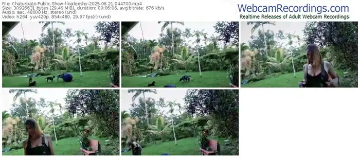 2025/06/21/chaturbate-kaileeshy-04-47-00