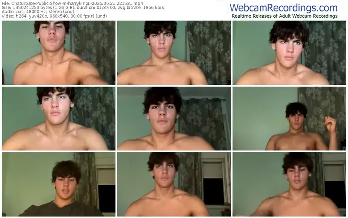 2025/06/21/chaturbate-harryking1-22-15-31