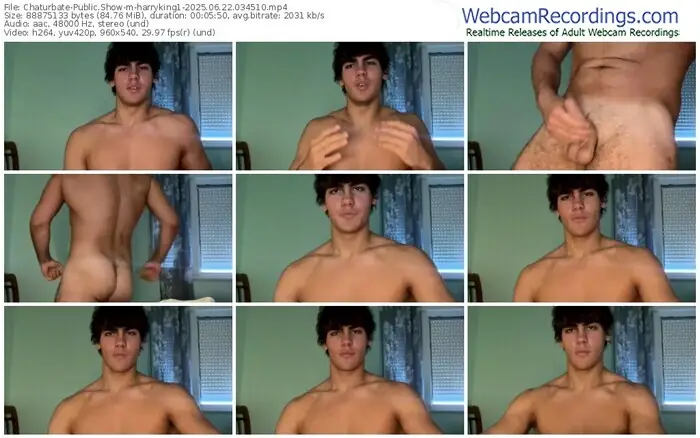 2025/06/22/chaturbate-harryking1-03-45-10
