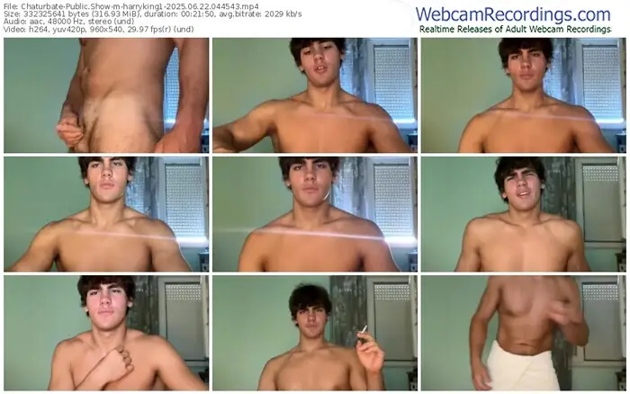 2025/06/22/chaturbate-harryking1-04-45-43