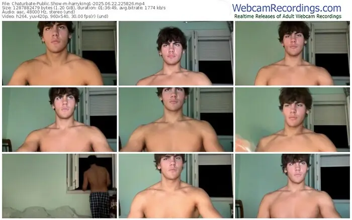 2025/06/22/chaturbate-harryking1-22-58-26