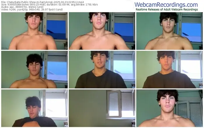 2025/06/23/chaturbate-harryking1-02-35-12