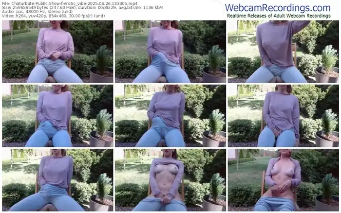 2025/06/26/chaturbate-erotic_vibe-13-33-05