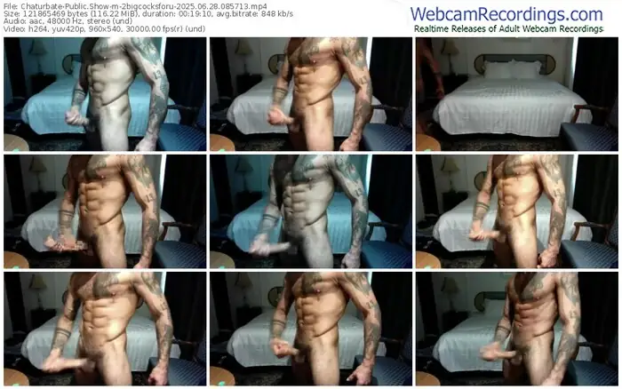 2025/06/28/chaturbate-2bigcocksforu-08-57-13
