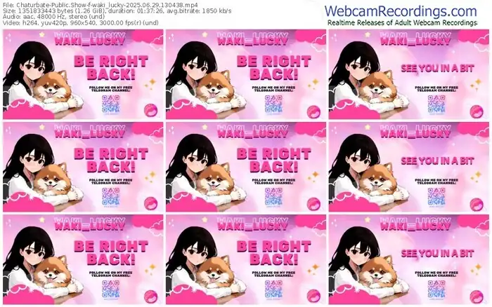 2025/06/29/chaturbate-waki_lucky-13-04-38