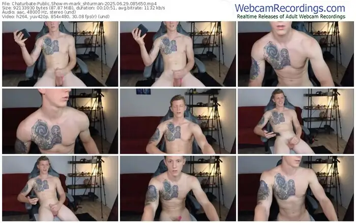 2025/06/29/chaturbate-mark_shturman-08-56-50