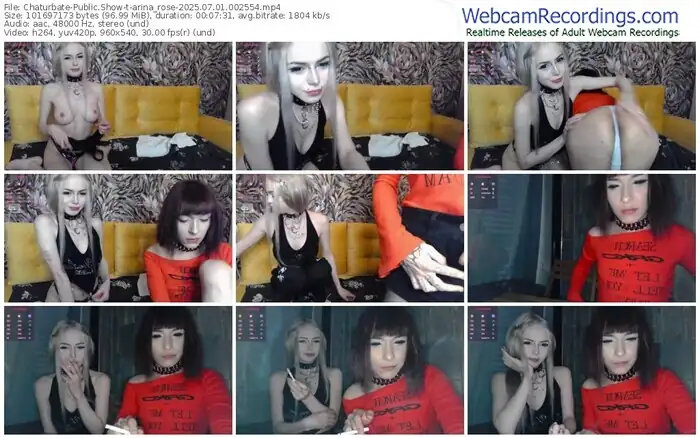 2025/07/01/chaturbate-arina_rose-00-25-54