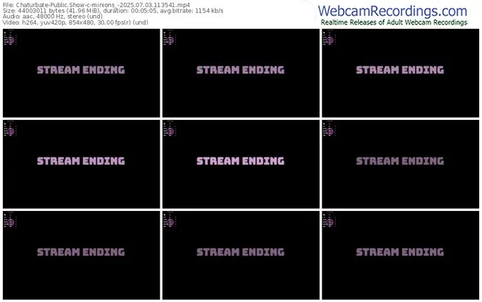 2025/07/03/chaturbate-minions_-11-35-41