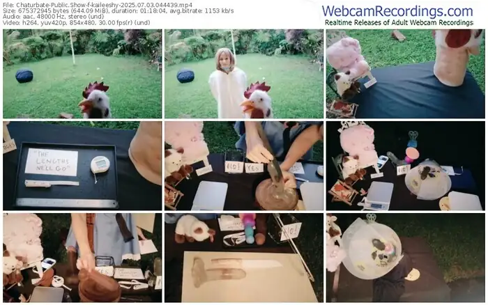 2025/07/03/chaturbate-kaileeshy-04-44-39