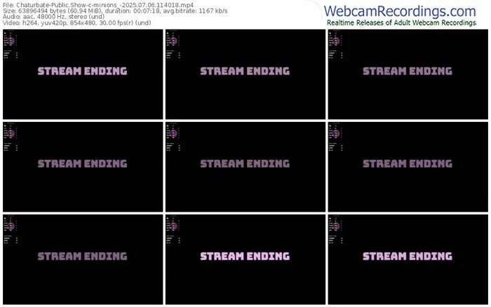 2025/07/06/chaturbate-minions_-11-40-18
