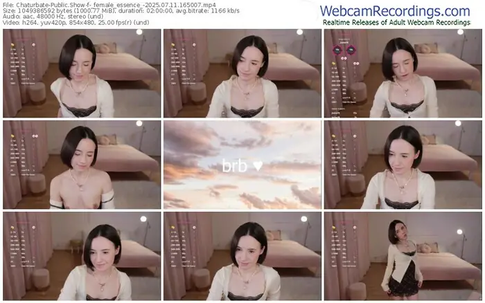 2025/07/11/chaturbate-_female_essence_-16-50-07