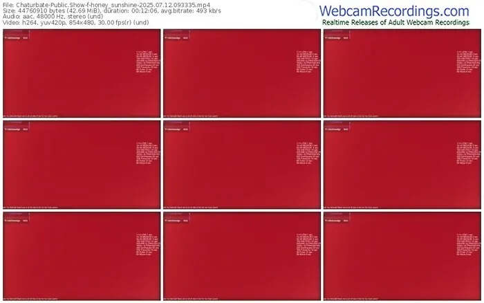 2025/07/12/chaturbate-honey_sunshine-09-33-35