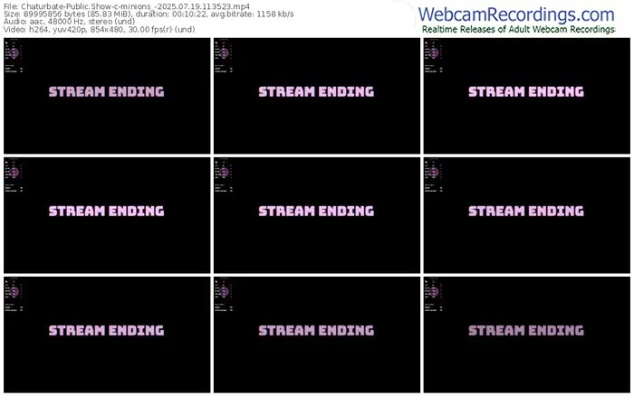 2025/07/19/chaturbate-minions_-11-35-23