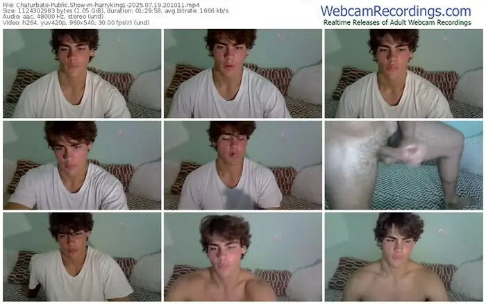 2025/07/19/chaturbate-harryking1-20-10-11
