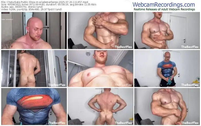 2025/07/20/chaturbate-wlademarbergs-11-14-57