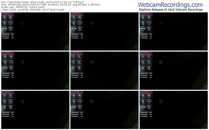 2025/07/20/chaturbate-lady_wind-11-17-58