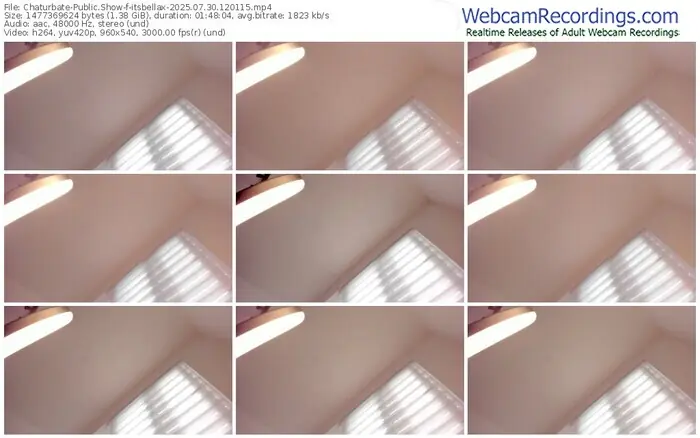 2025/07/30/chaturbate-itsbellax-12-01-15
